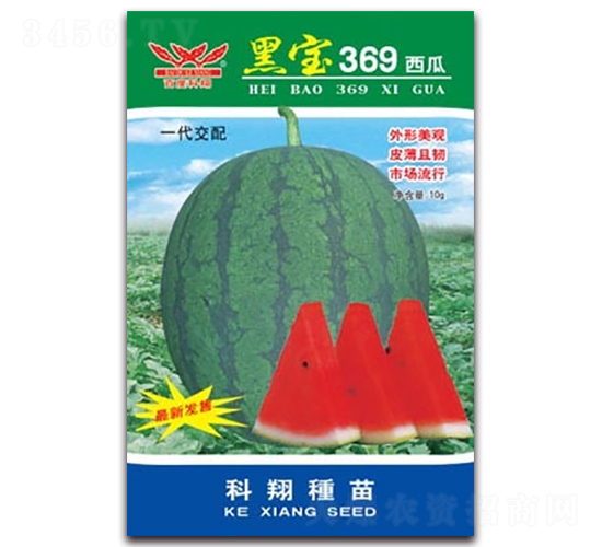 �ڱ�369����-��������-������ҵ