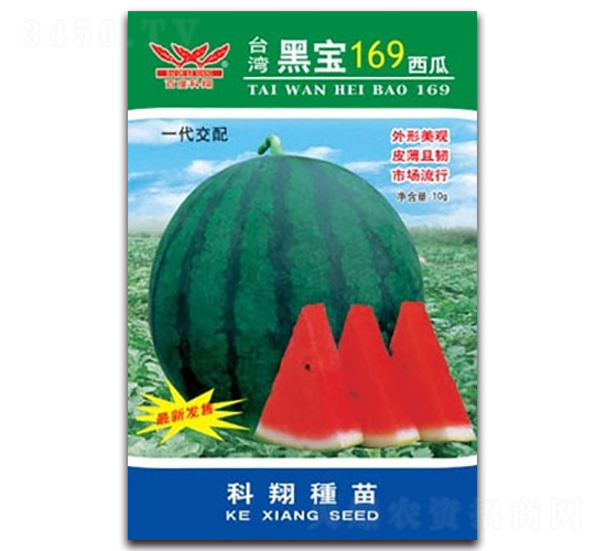 �ڱ�169����-��������-������ҵ