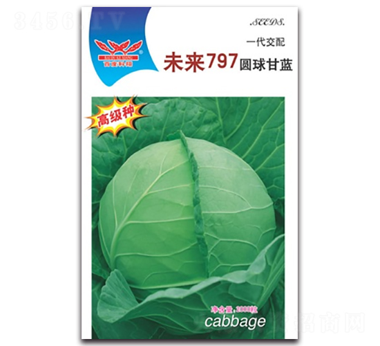 δ��797-��������-������ҵ