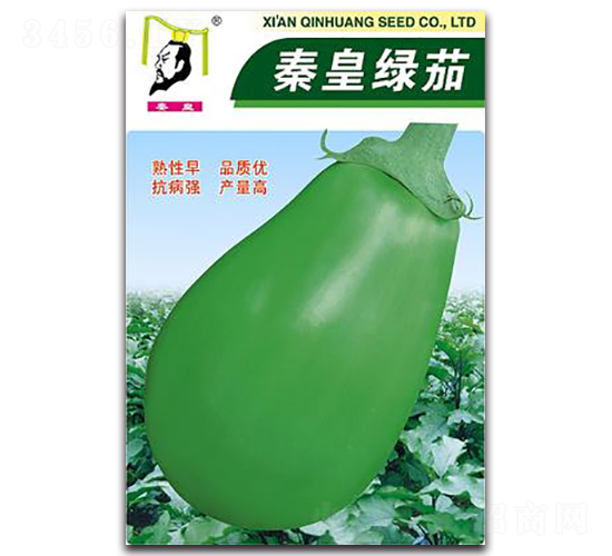 �ػ�����-��������-�ػ�