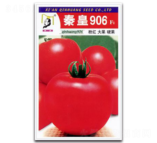 �ػ�906F1-��������-�ػ�