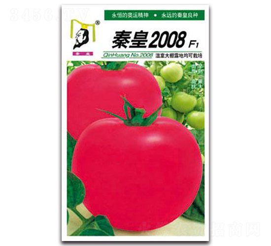 �ػ�2008F1-��������-�ػ�
