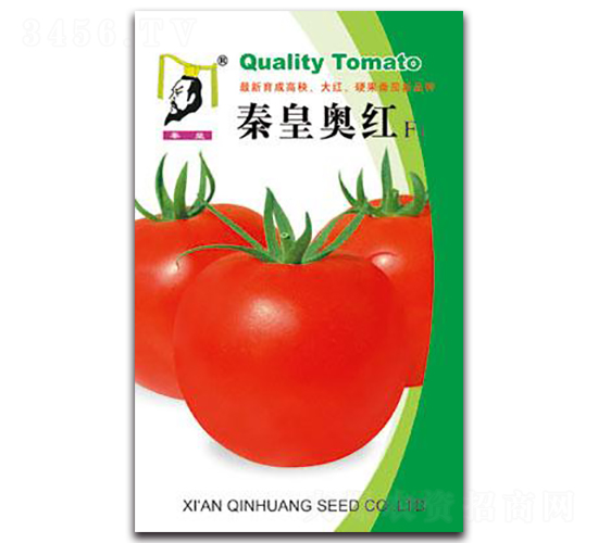 �ػʰº�F1-��������-�ػ�