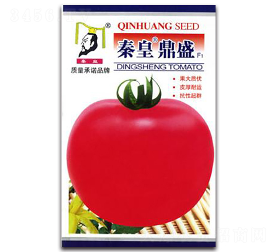 �ػʶ�ʢF1-��������-�ػ�