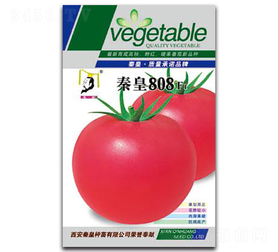 �ػ�808F1-��������-�ػ�