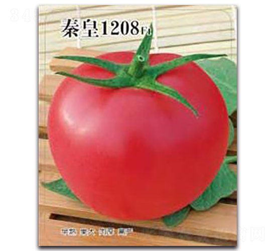 �ػ�1208F1-��������-�ػ�