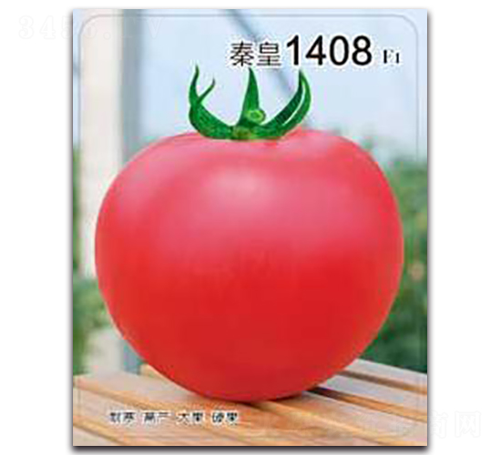 �ػ�1408F1-��������-�ػ�