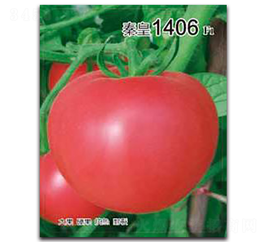 �ػ�1406F1-��������-�ػ�