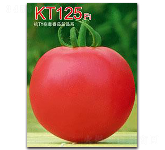 KT125F1-��������-�ػ�