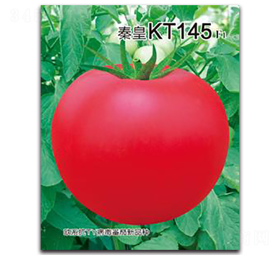 �ػ�KT145F1-��������-�ػ�