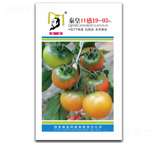 �ػʿڸ�19-03F1-��������-�ػ�