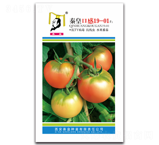�ػʿڸ�19-01F1-��������-�ػ�