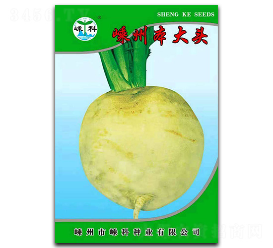 ���ݱ���ͷ-�������-�ӿ���ҵ
