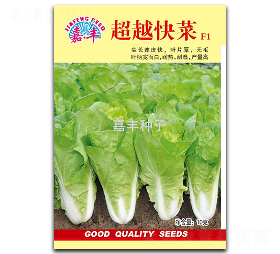 ��Խ���F1-�ײ�����-�η�����