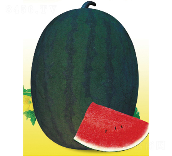ī��һ��-��������-����