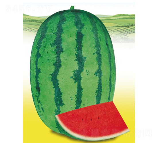 �޶�һ��-��������-����