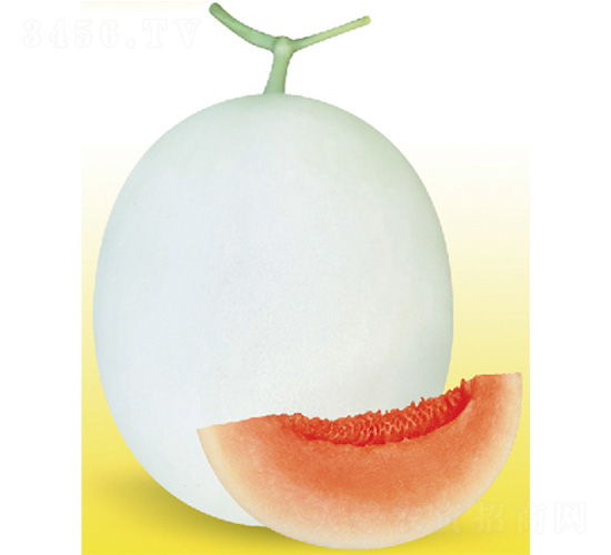�״�һ��-�������-����