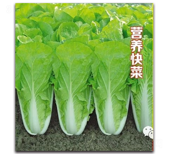 Ӫ�����-�ײ�����-����ũҵ