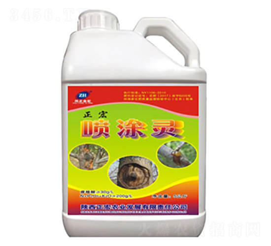 ��Ϳ��-��������