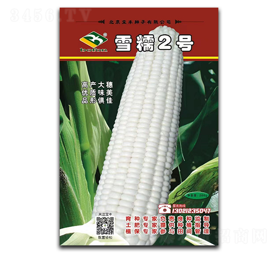 ѩŴ2��-Ŵ��������-����