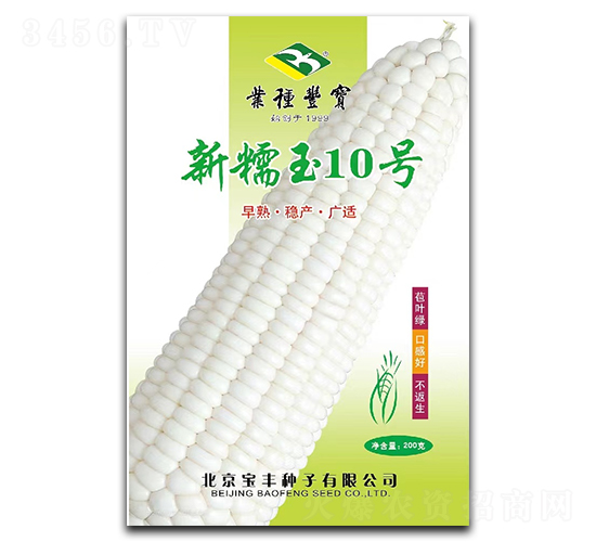��Ŵ��10��-Ŵ��������-����