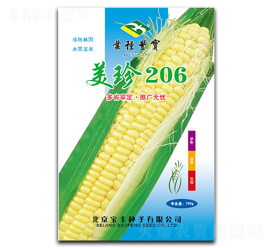 ����206-Ŵ��������-����
