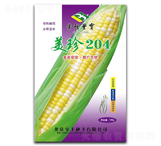 ����204-Ŵ��������-����