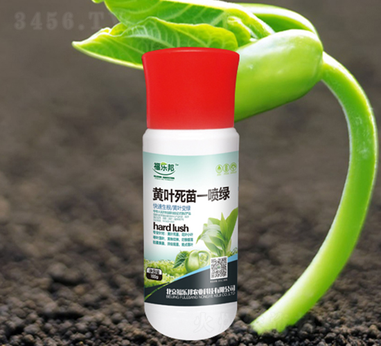 ��Ҷ����һ����-���ְ�