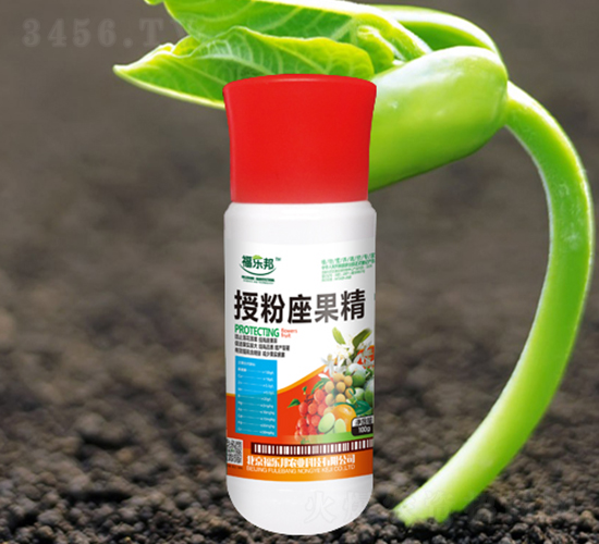 �ڷ�������-���ְ�