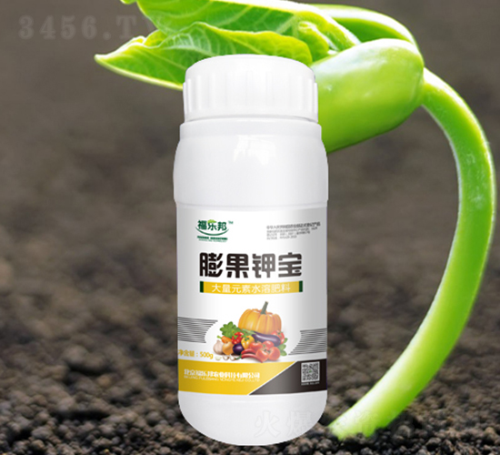����ر�-���ְ�