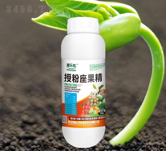 500g�ڷ�������-���ְ�