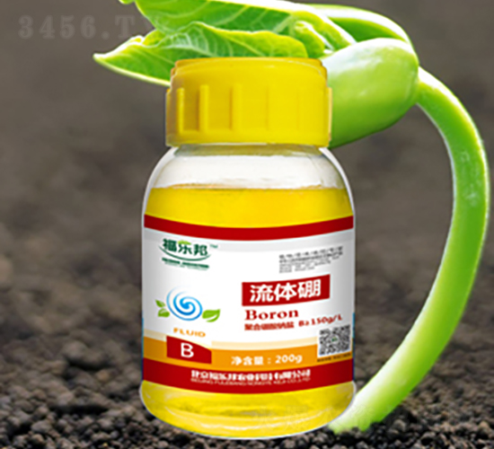 200g������-���ְ�