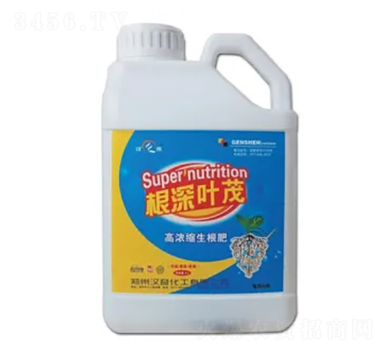 ����Ҷï-���滯��