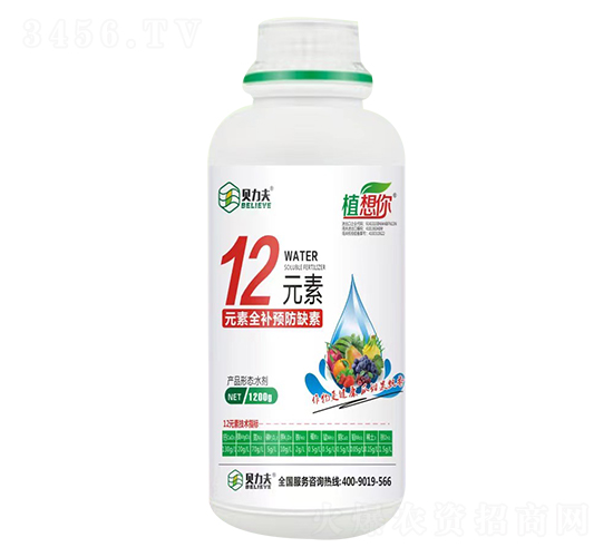 12Ԫ��-������-�¶���