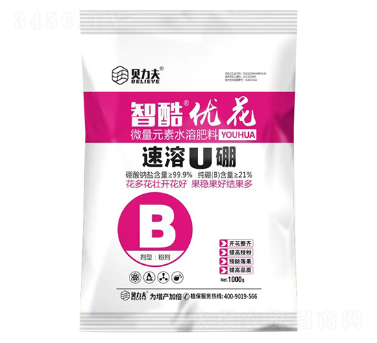 �ǿ��Ż�-������-�¶���
