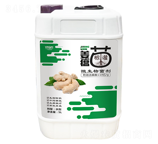 5L����ר��΢�������-Ҷ������