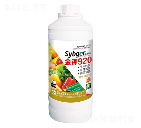 ���920-ʩ�۸�
