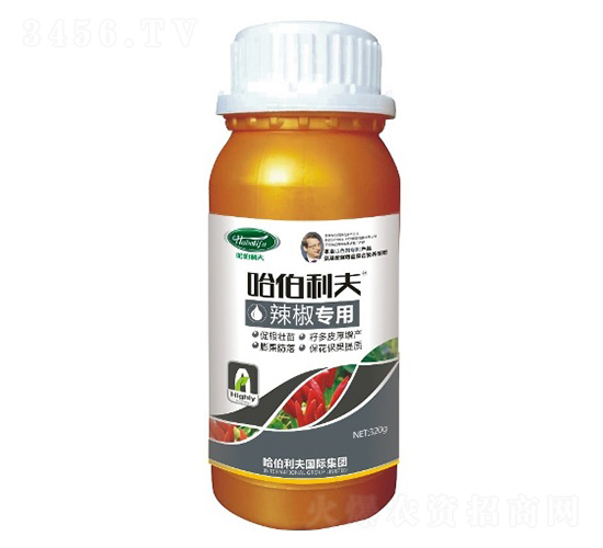 ����ר��-��������