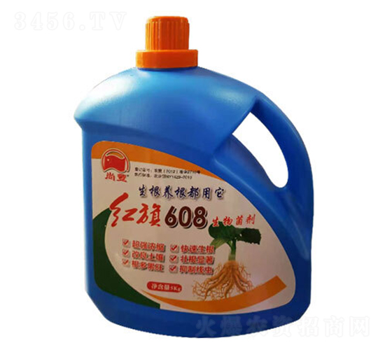 608�������-�з�-��������