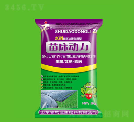 �紲����-�ѿ�