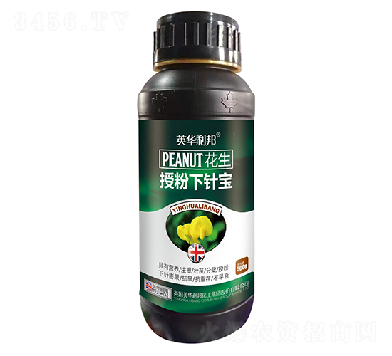 �����ڷ����뱦-��˴ֲ��