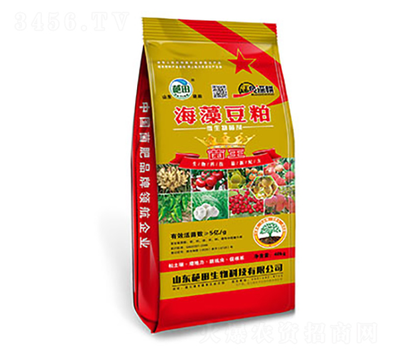 5�ھ����嶹��΢�������-��������