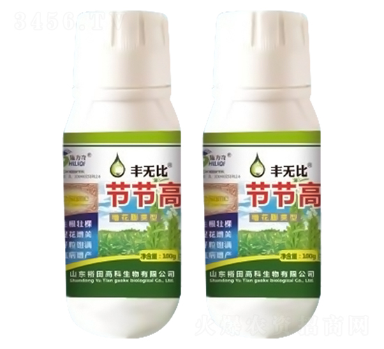 �ڽڸ�-���ޱ�-ԣ��߿�����