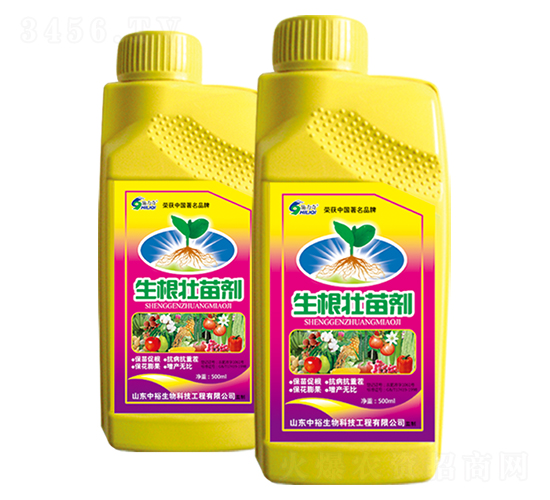 500ml����׳���-ԣ��߿�����