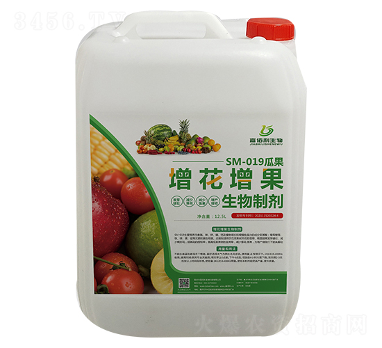 SM-019�Ϲ��������������Ƽ�-�ΰ�������