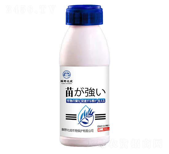 ����ǿ���紲����Ӫ����-��Ұ����