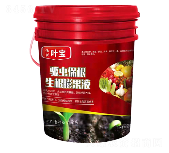 ���汣������Һ-��Ҷֲ��