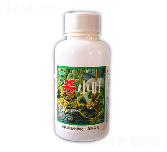 75ml����ɱСҶ-��