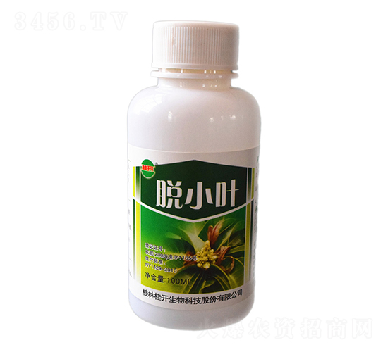 100ml��СҶ-��