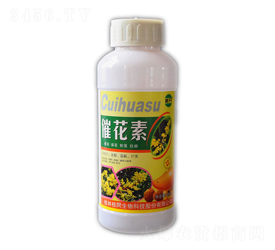 500ml�߻���-��